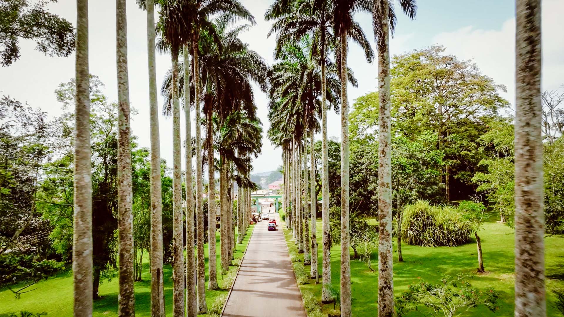 Botanical Gardens