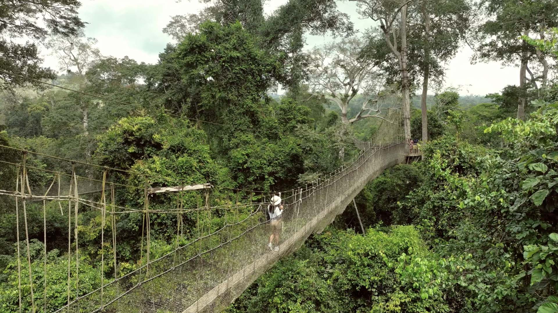 Kakum National Prk.