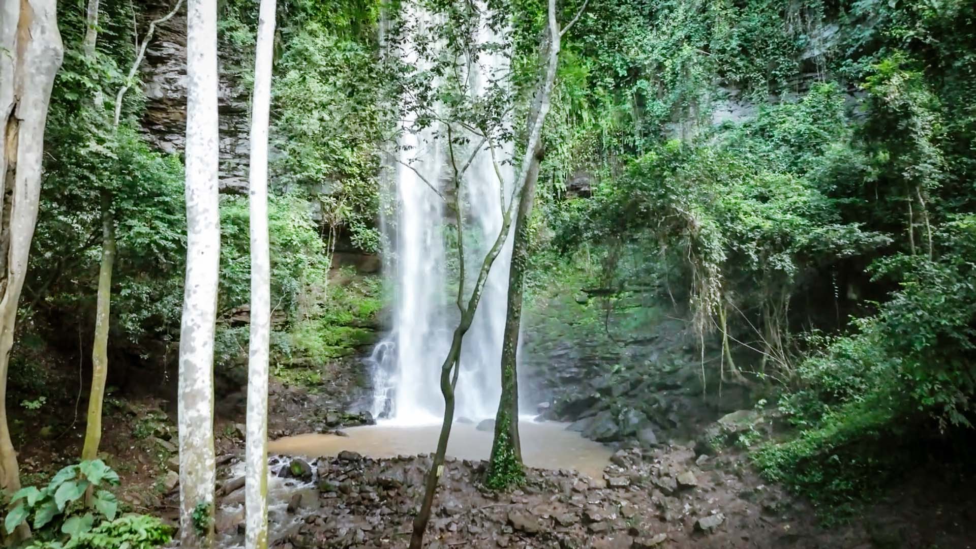 Asenama Waterfalls