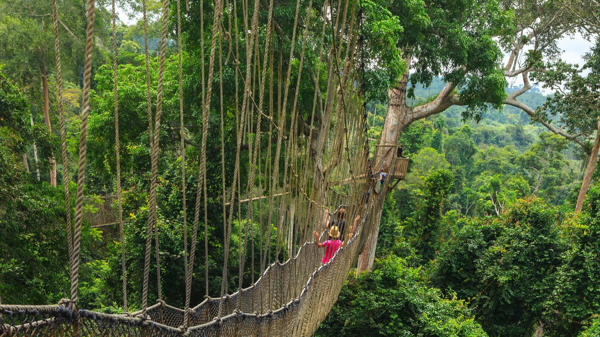 Kakum National Park