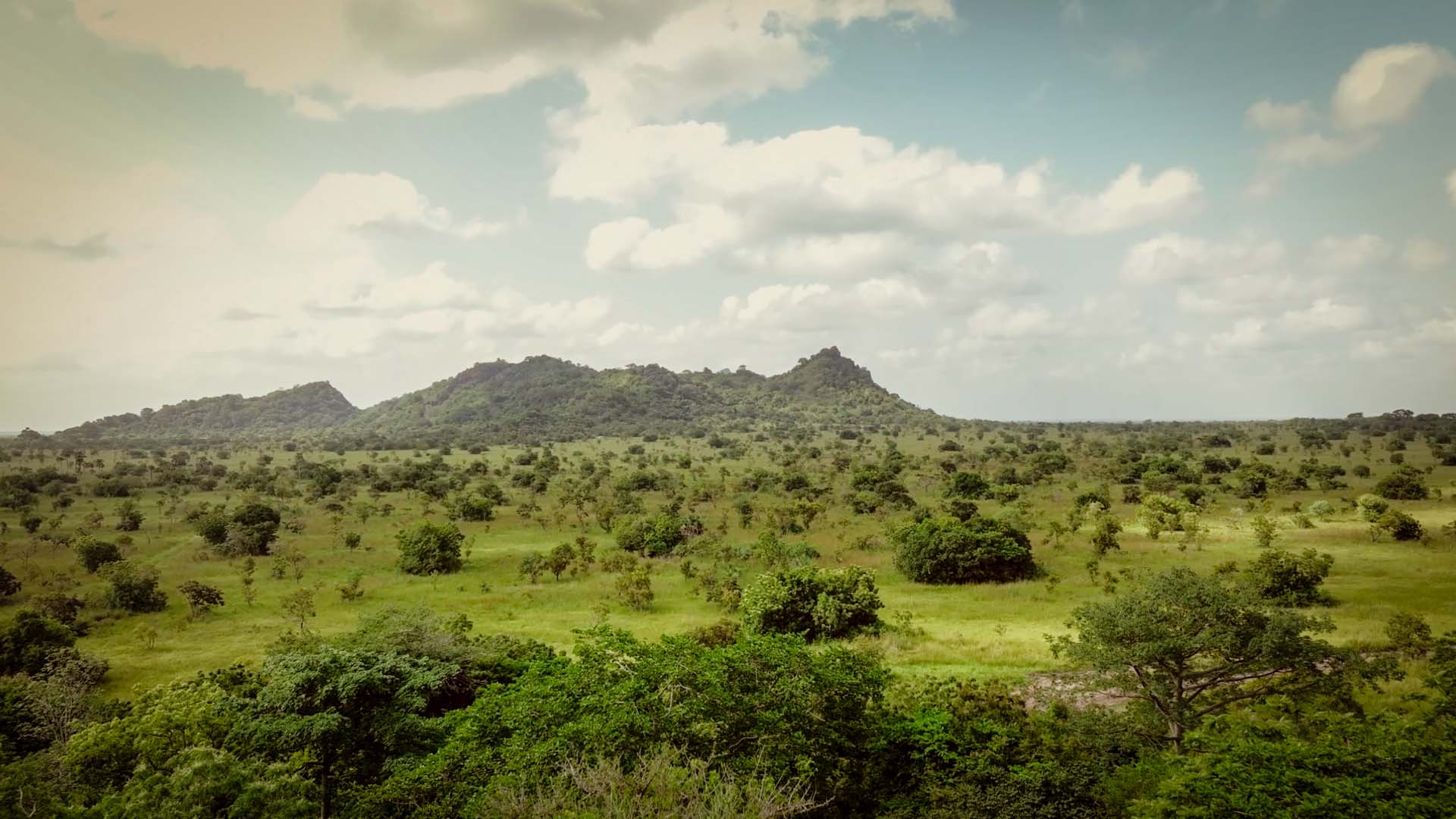 Shai Hills