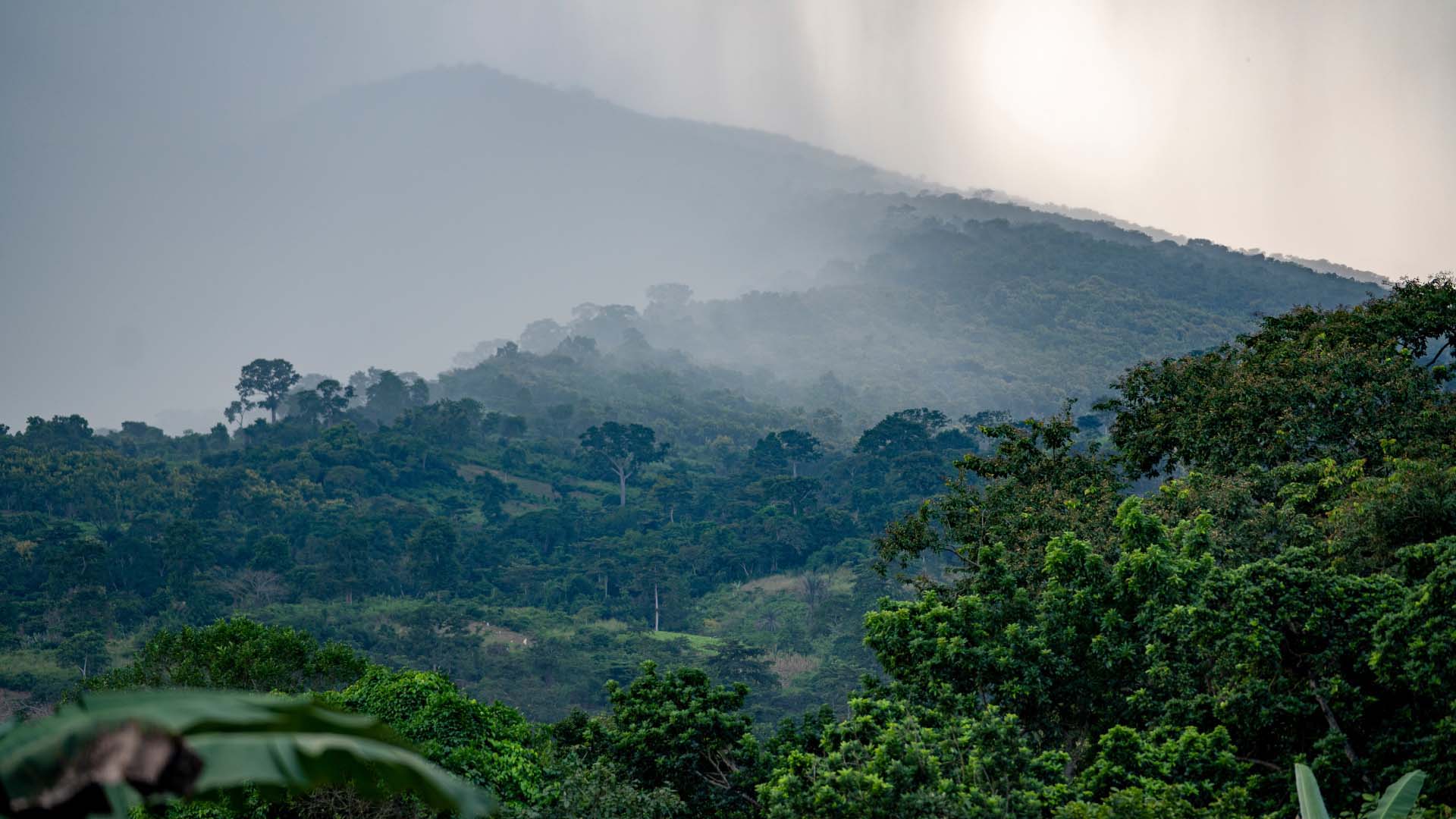 Mount Afadjato
