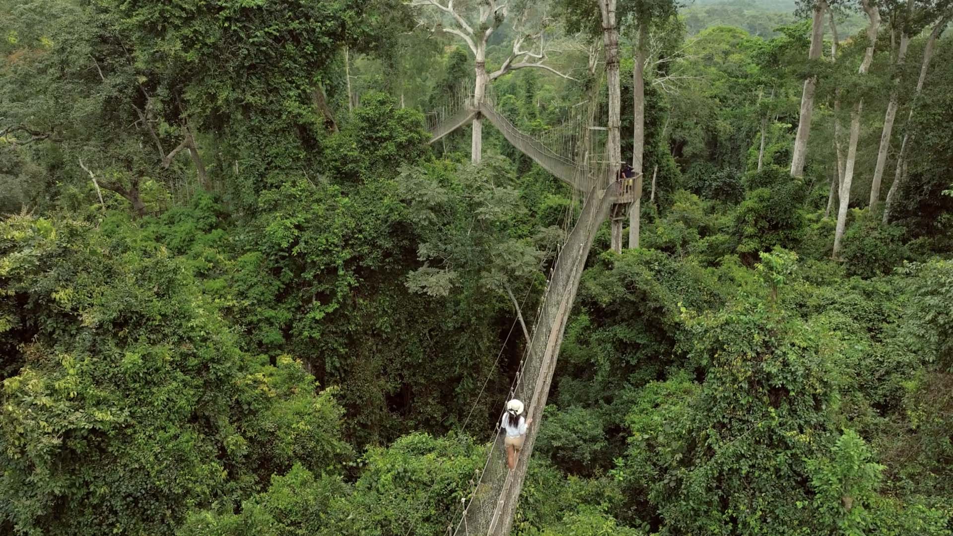 Kakum National Park.