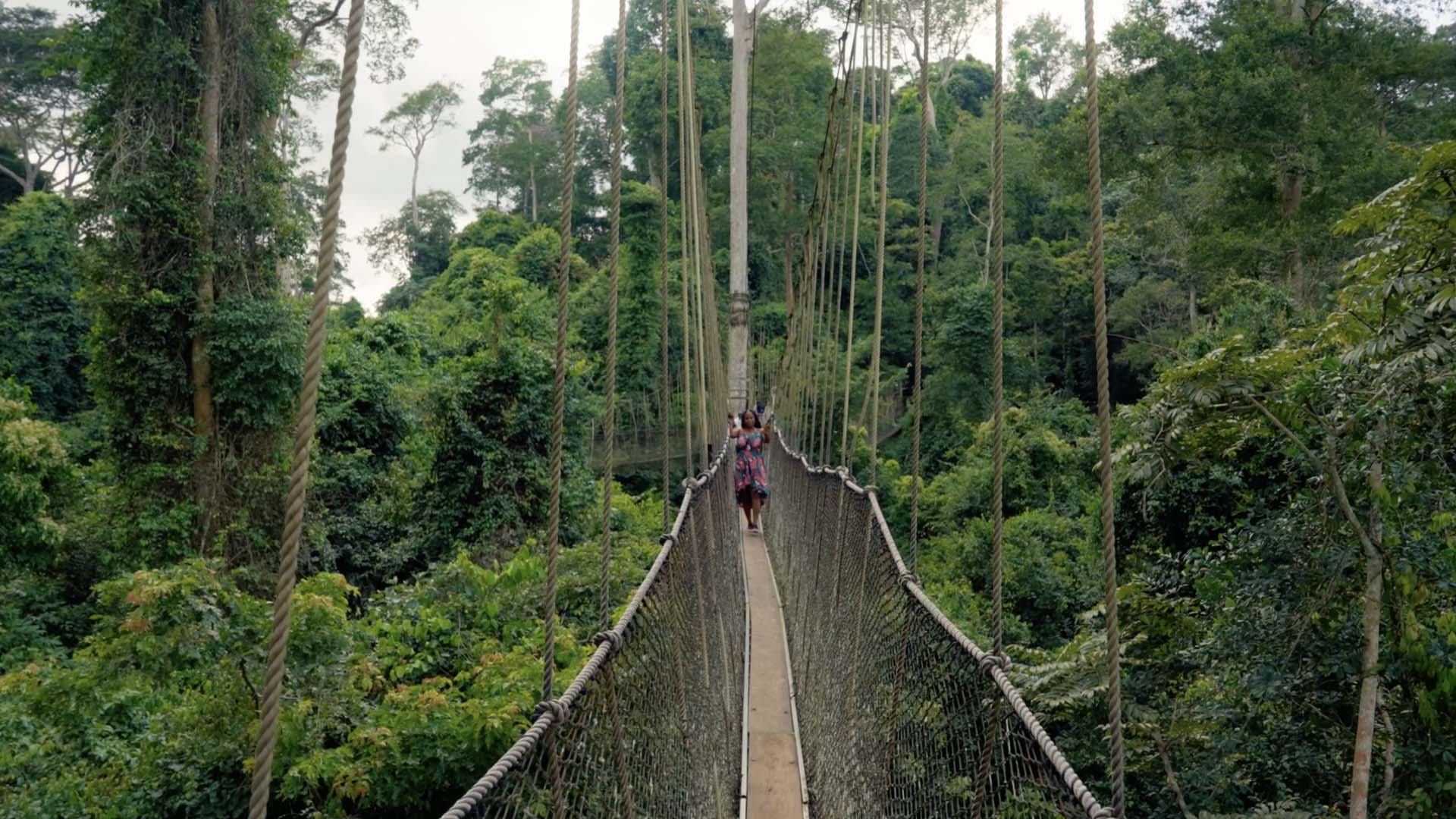 Kakum National Park