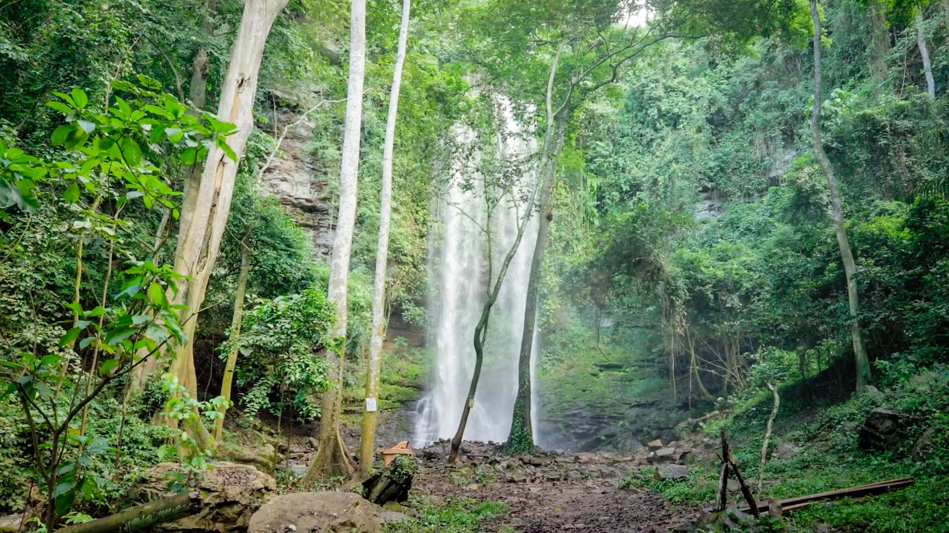 Asenama Waterfalls