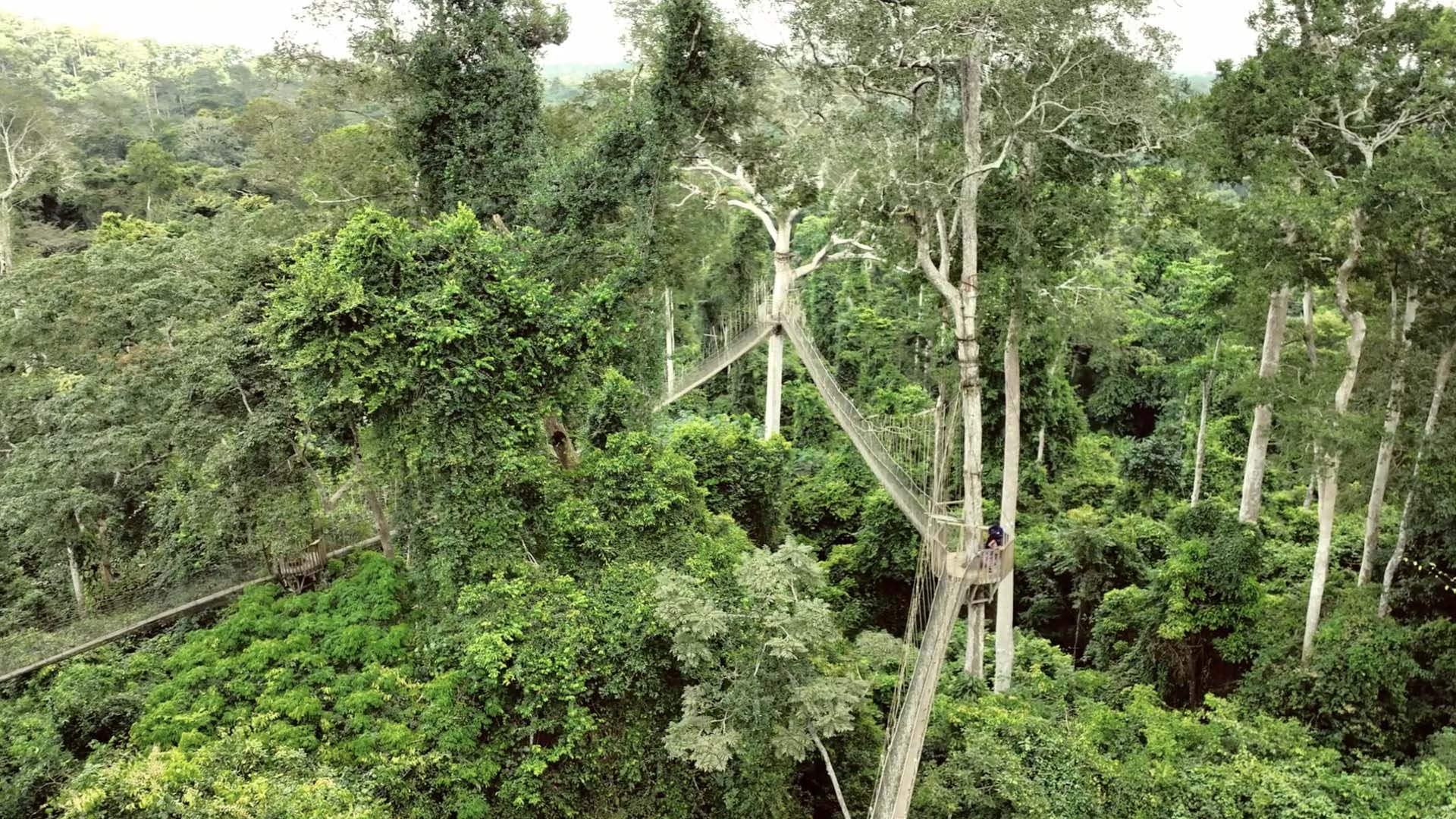 Kakum National Park